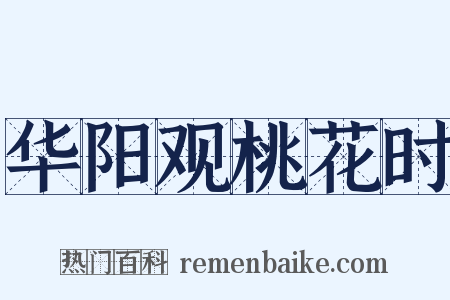 华阳观桃花时是什么意思的图片